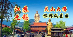 艹骚视频江苏无锡灵山大佛旅游风景区