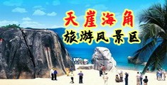 插小逼内射视频网站海南三亚-天崖海角旅游风景区