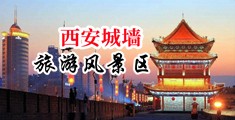 www.肏女人中国陕西-西安城墙旅游风景区